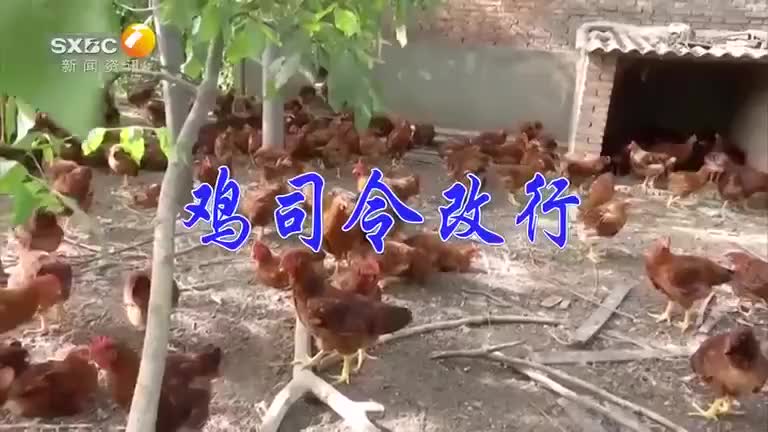 a0855842-a5d2-11f0-8e7e-00110a6c9518_merge_1760098745