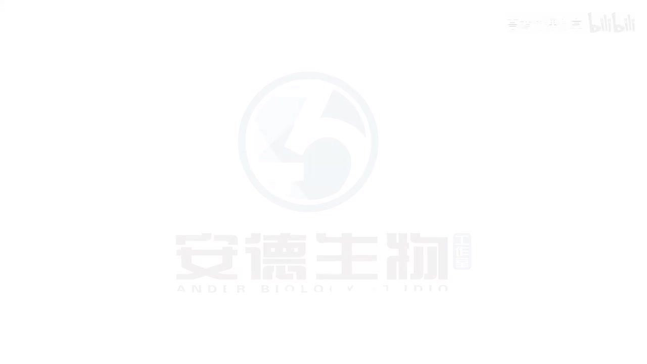 15.分离定律和配子法