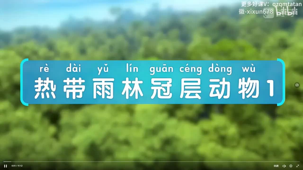 2.热带雨林冠层动物1