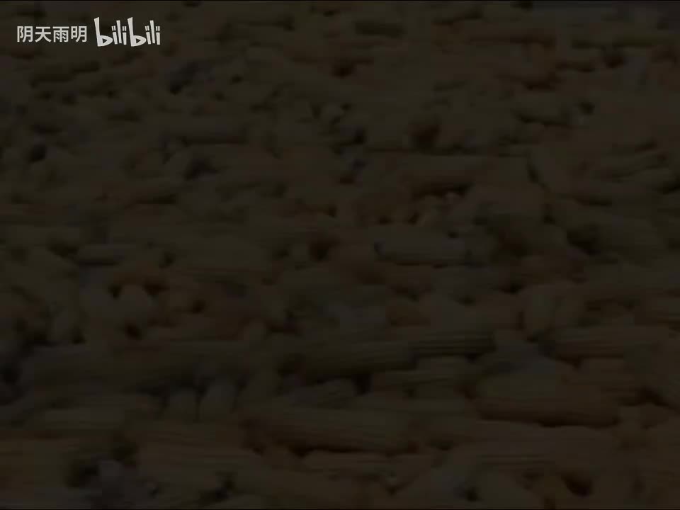 民间小调《婆媳过招》04 秦霞 荆献鼎 刘素霞 田明金 尹桂廷 孟献礼