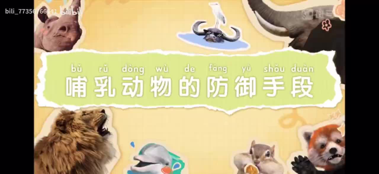 【百科启蒙动画】 B站更新最多的百科动画 搞定儿童科学启蒙 P7：07-哺乳动物的防御手段