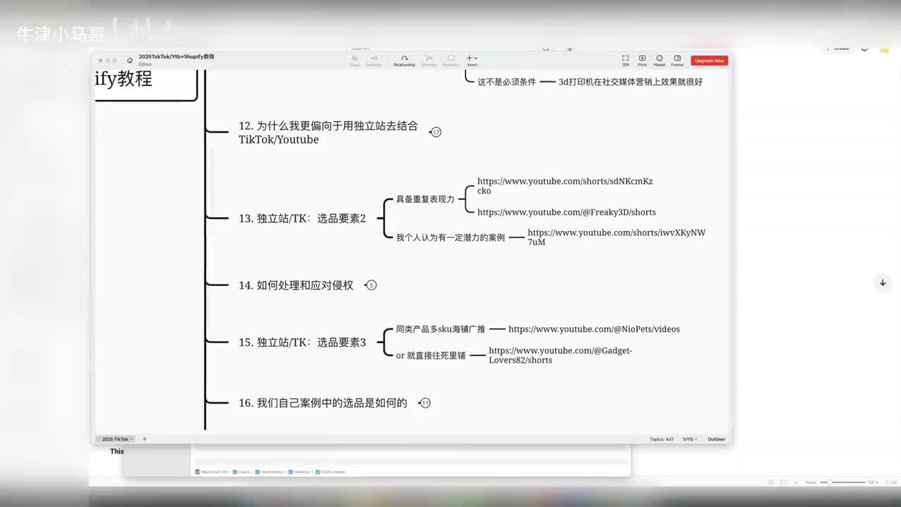 13. 独立站 TK：选品要素2