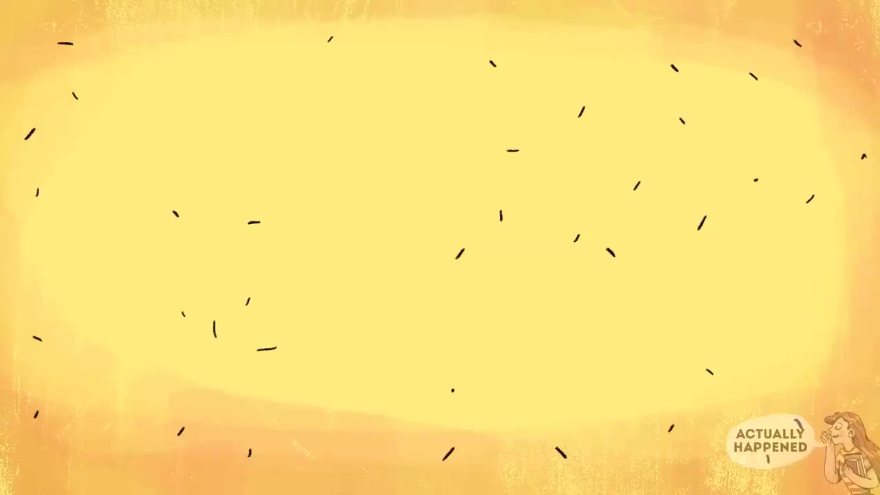 11. 【081】纯生 actually happened