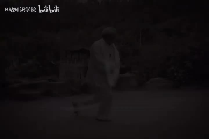 杨式太极拳85式教学1