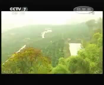 恒河果业 2012.2.22