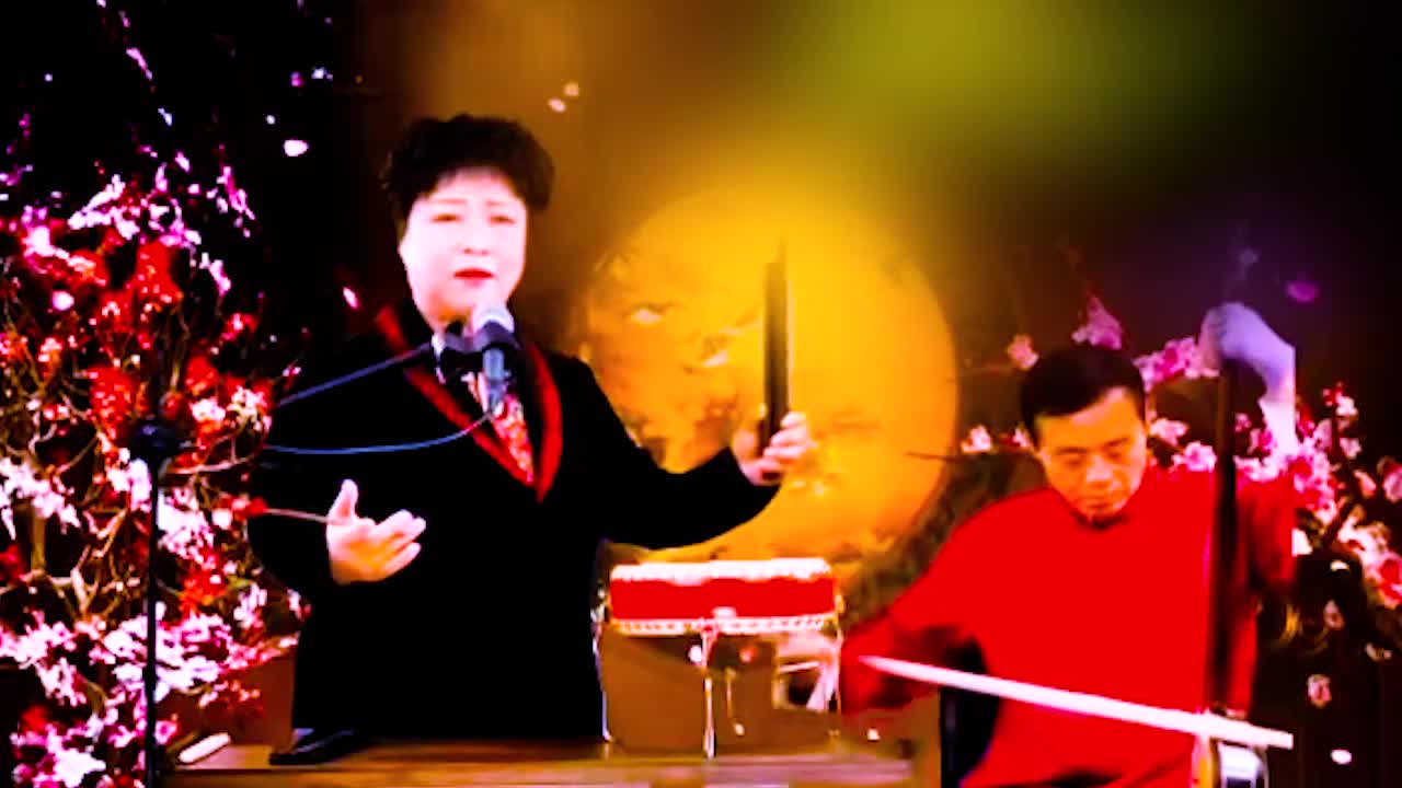 河南坠子 · 《呼家将》肖计英（65）