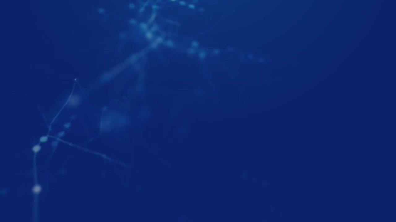 11 企业案例-车内照明延时系统失效