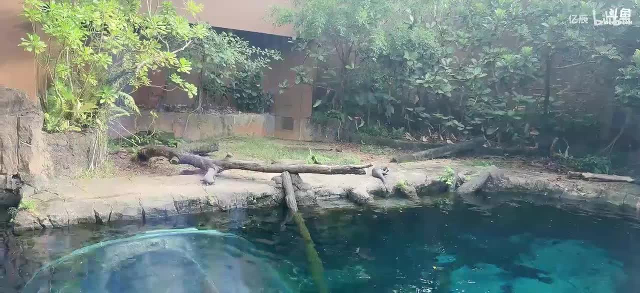 纳豆nado-五点左右来哦，去河川生态园捏【白银双倍】-2025年11月20日16点58分