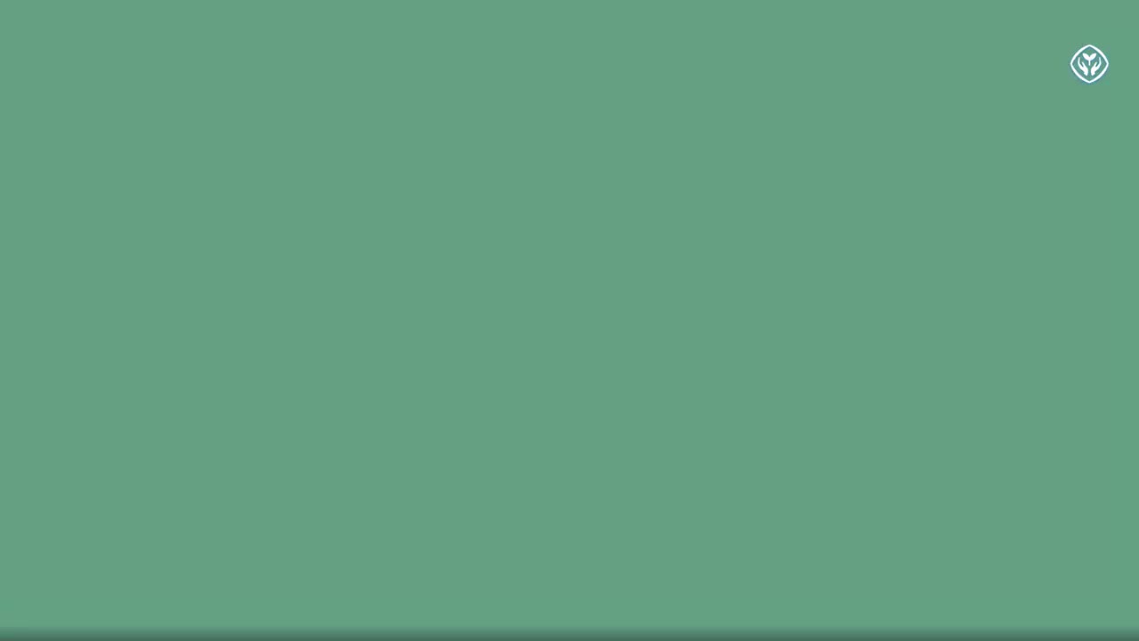 人教PEP版 英语 四上 Unit 6 Listen and chant