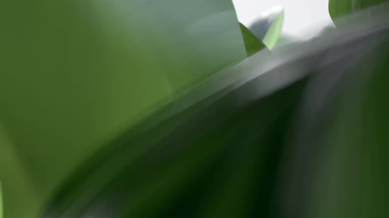 OPPO Find X7 5G 白色广告 By SOYA Studio