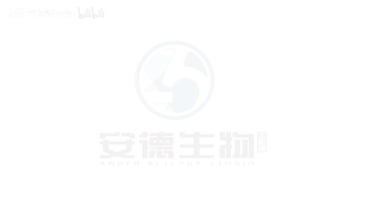 14.遗传的基本概念