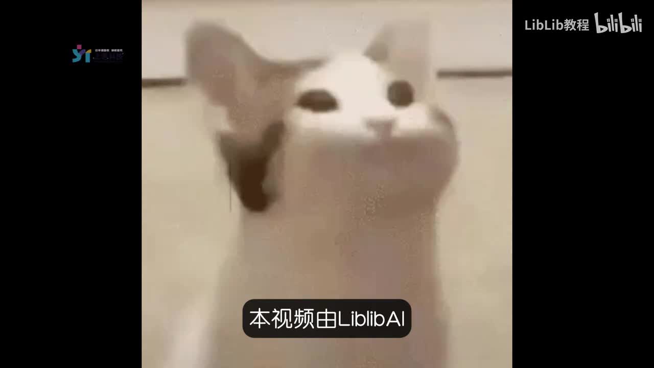 【LibLibAI进阶教程】05-艺术写真