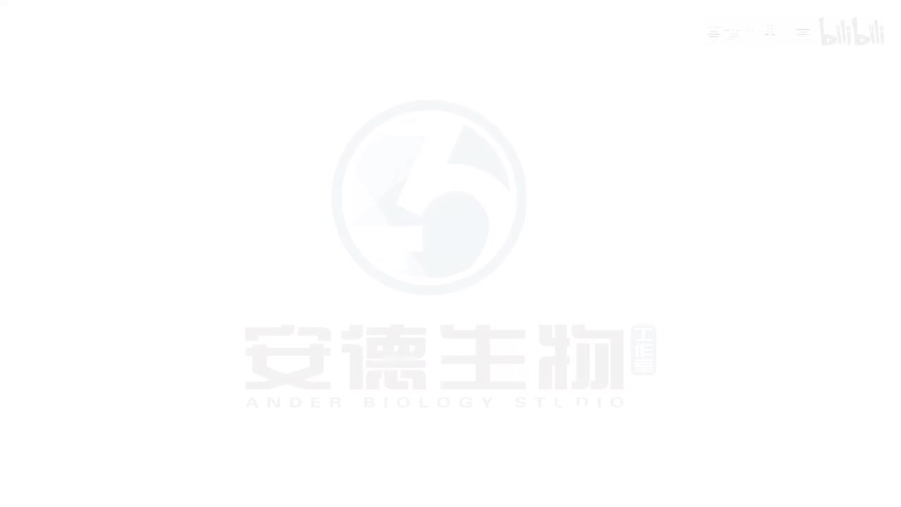 37.生态系统的功能