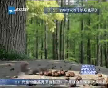 30秒（国语）
