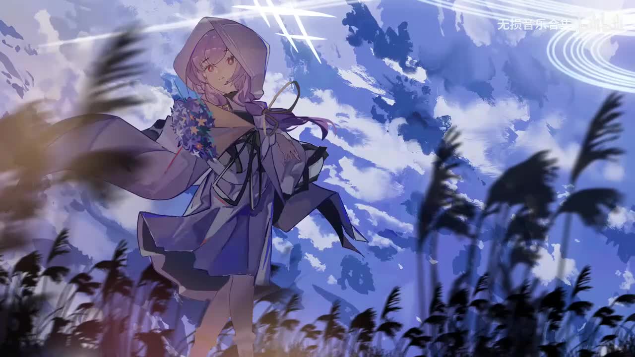178-太多 - 陈冠蒲