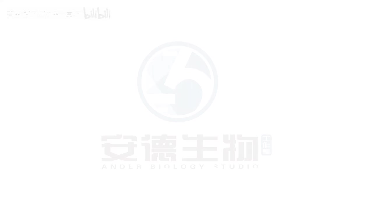 16.自由组合定律和分解组合法