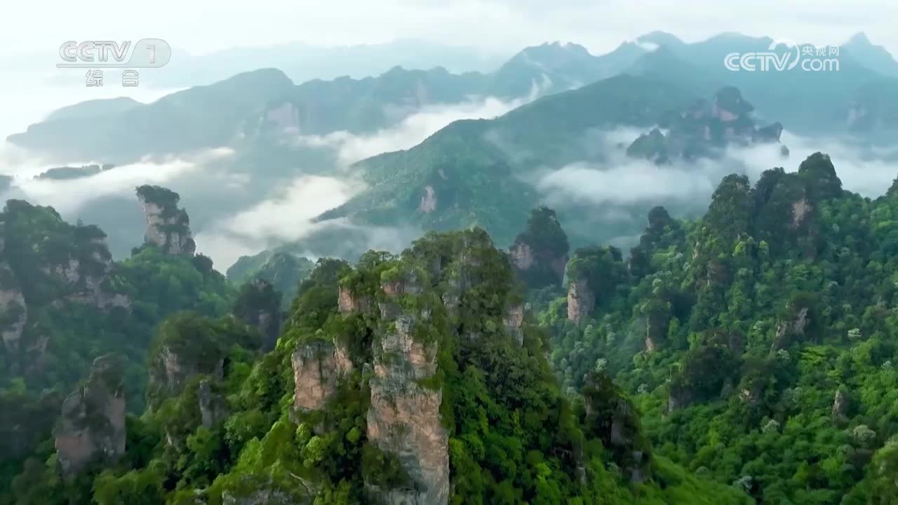 灵石周槐