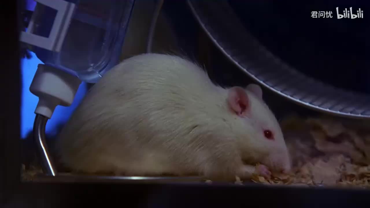 第3季「第03集」知情同意