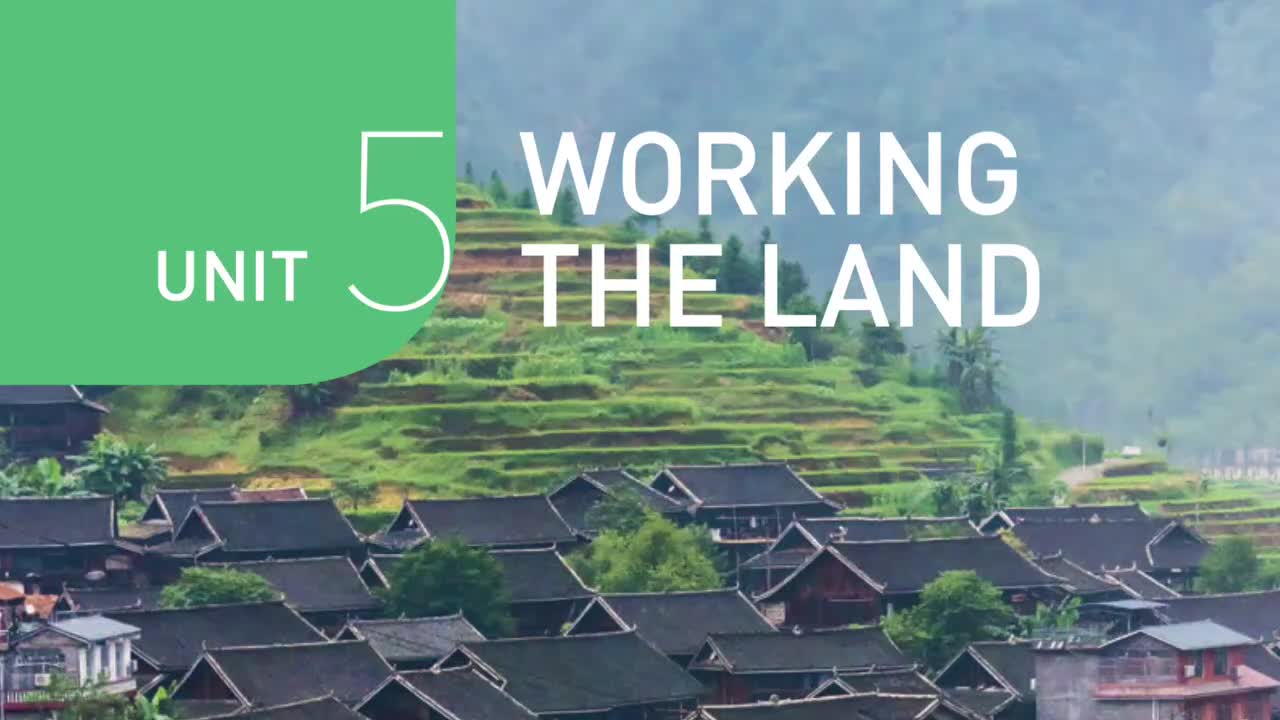 选必一 U5 Using Language
