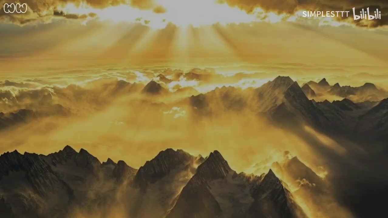 11.《璇玑策》alpaca咕噜