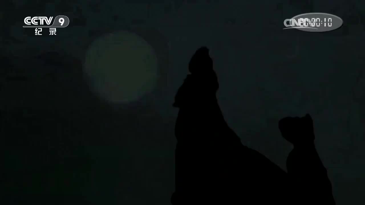 【第四集】道高一尺