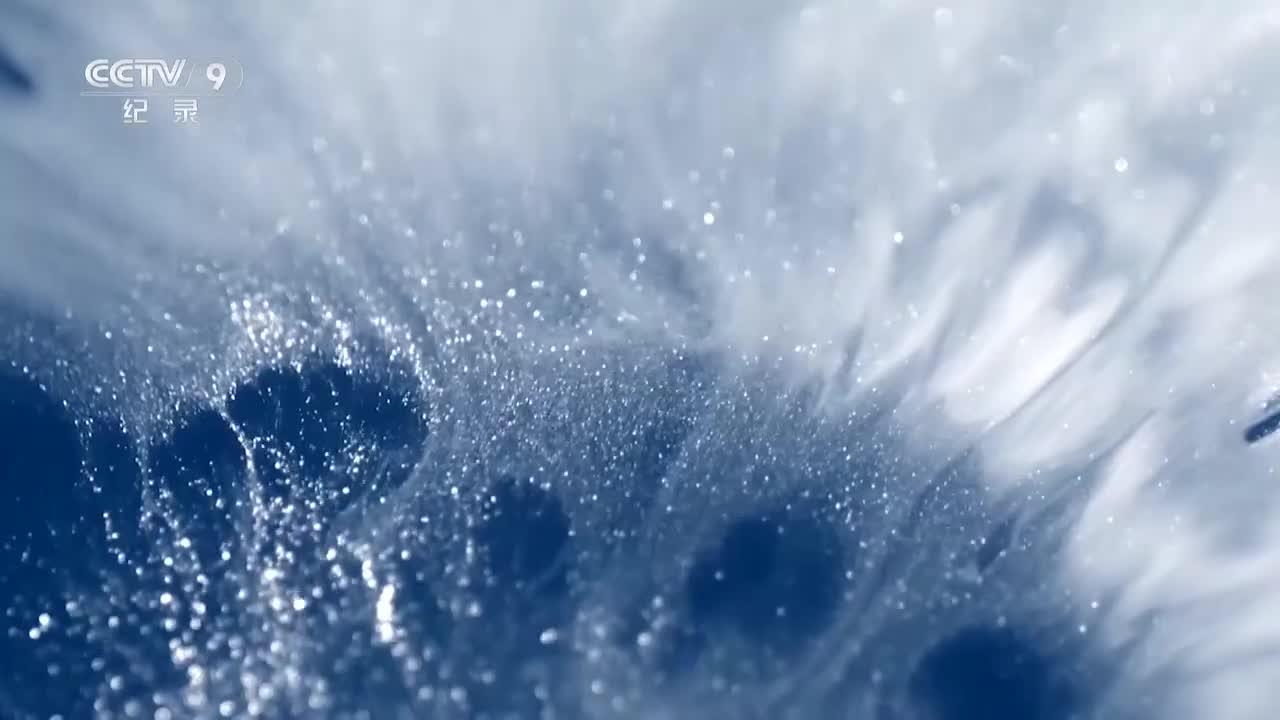 第6集：国宝级的唐青花塔式罐