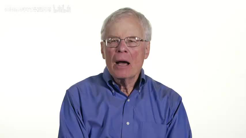 疫苗与抗体生成