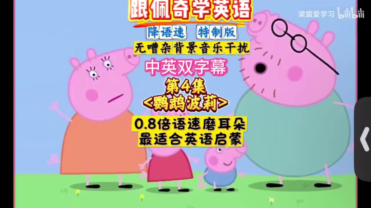 第一季第4集[鹦鹉波莉]