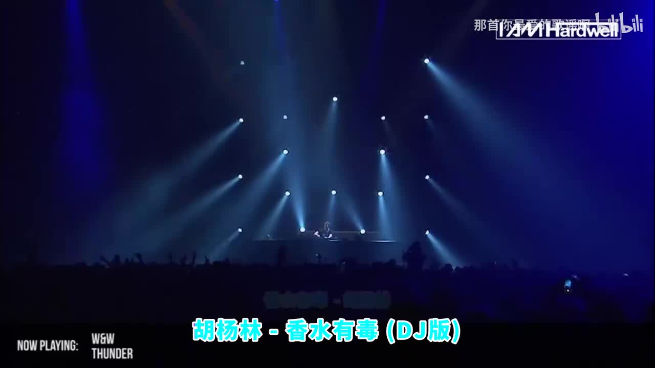 103. 香水有毒 (DJ版) - 胡杨林