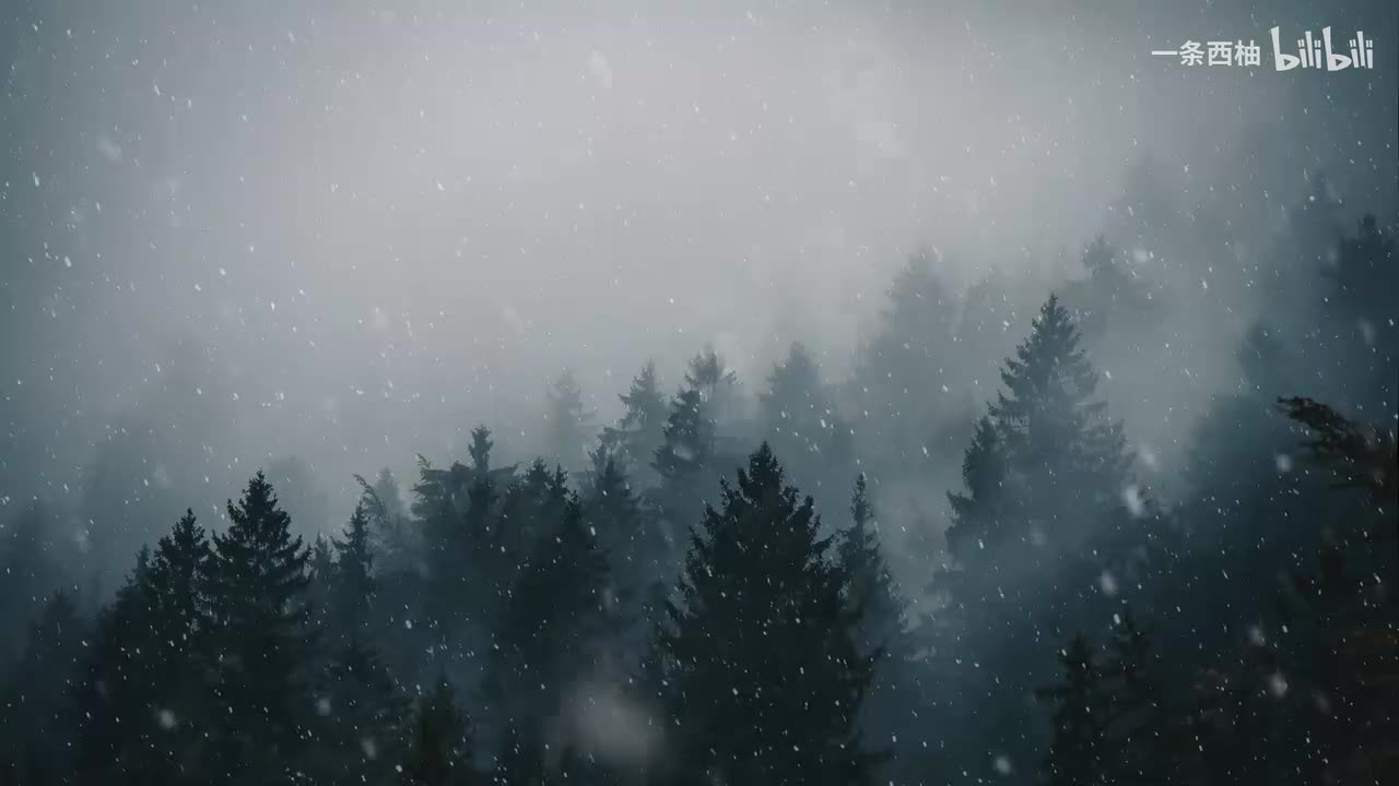 雨中氛围感 (5)