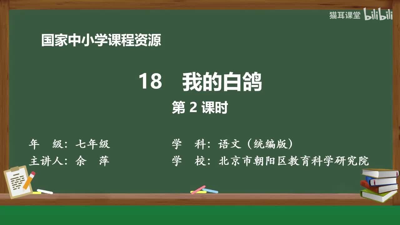 48 我的白鸽（第2课时）