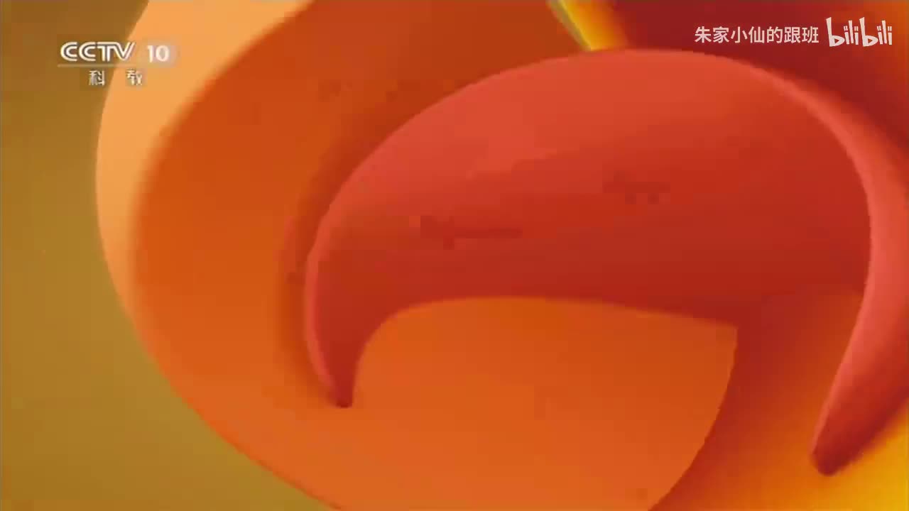 16艺术魅力之谜