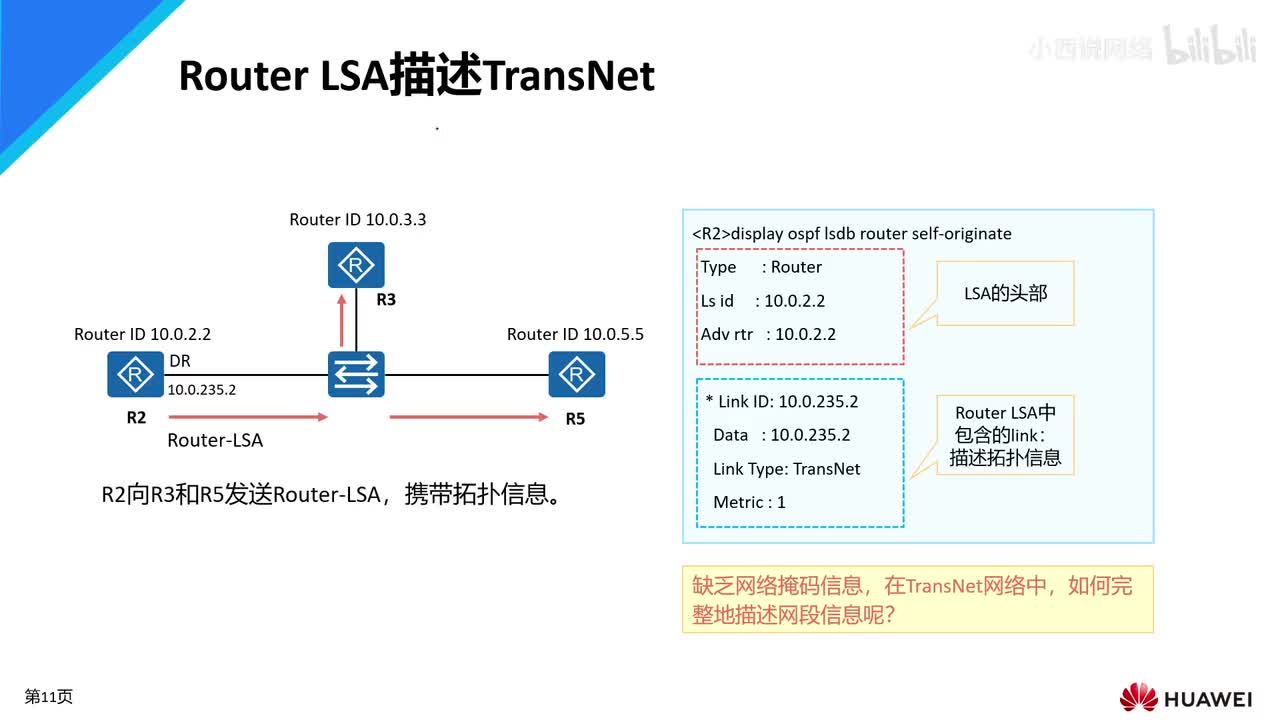 【网工进阶篇】02 区域内路由计算（1类lsa、2类lsa描述transnet网络）