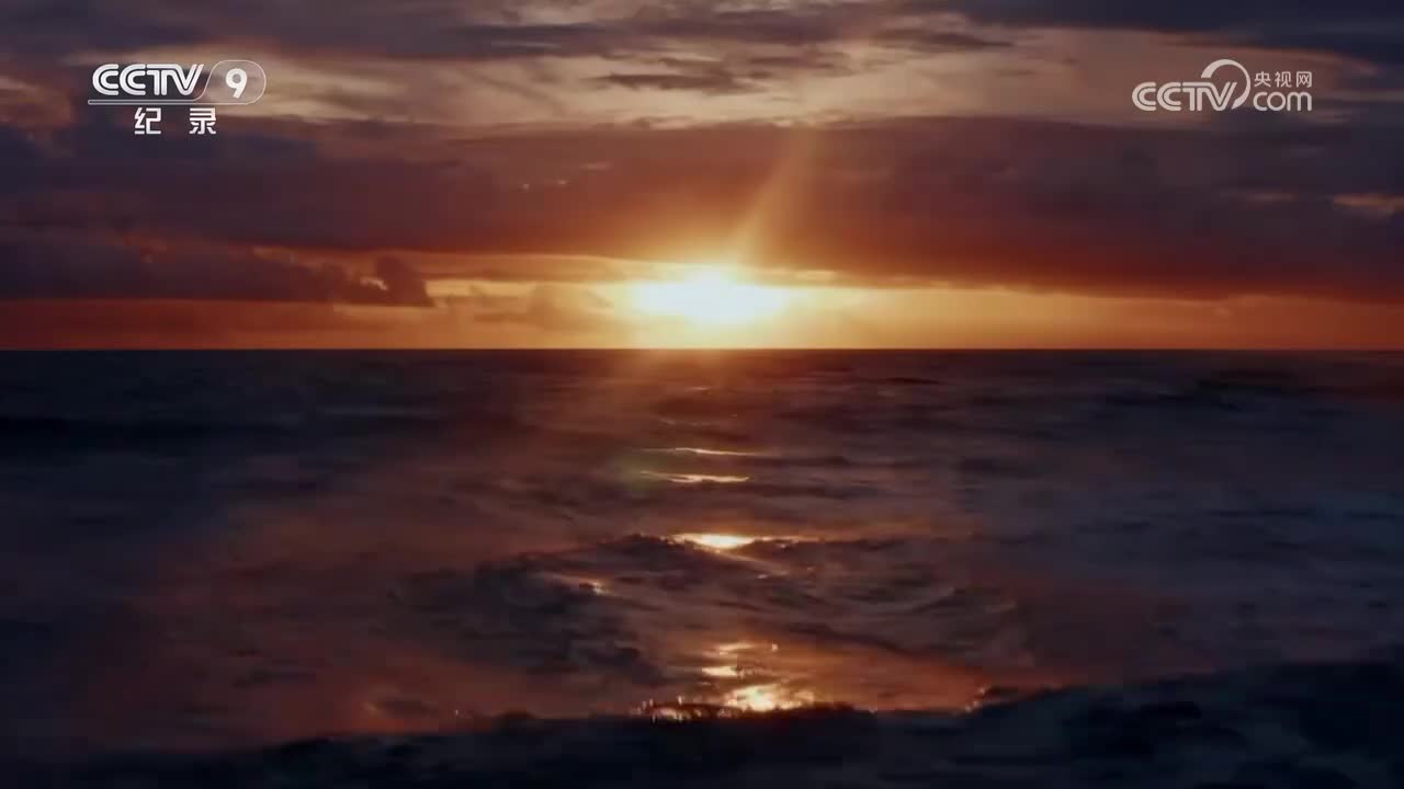 中国港第二季第2集 江苏太仓港