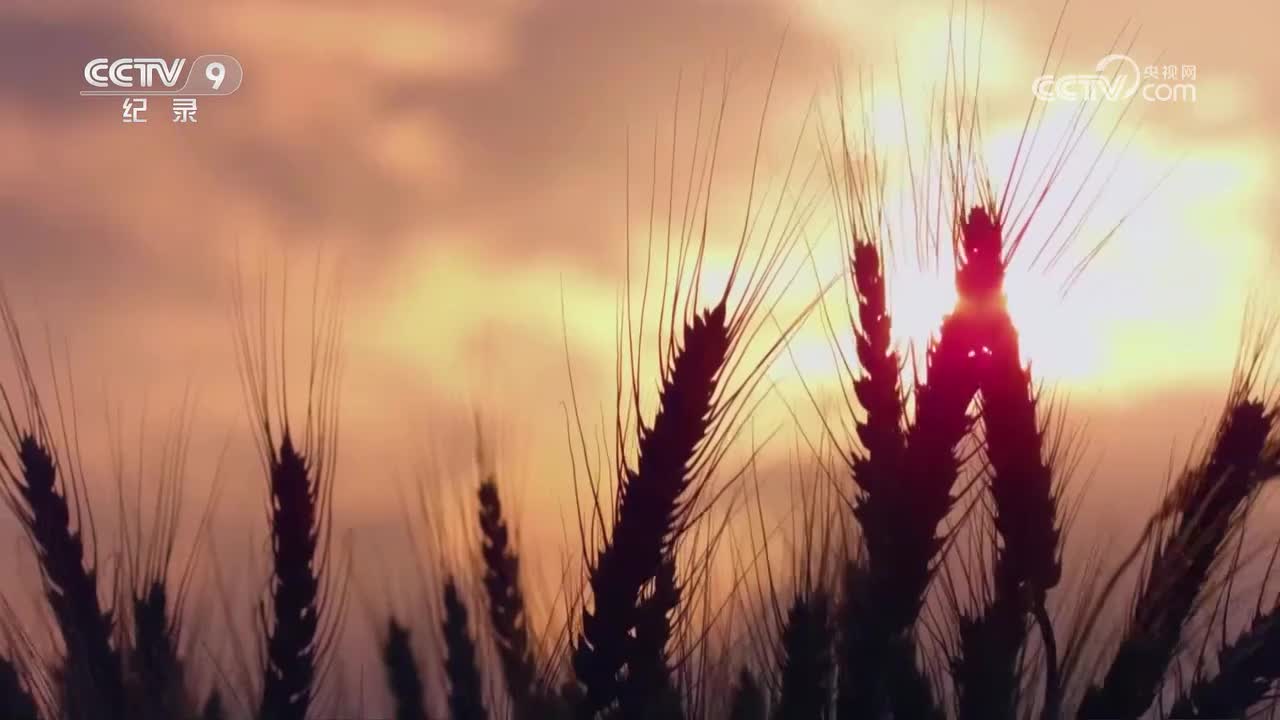 中国港第二季第3集 广州南沙港