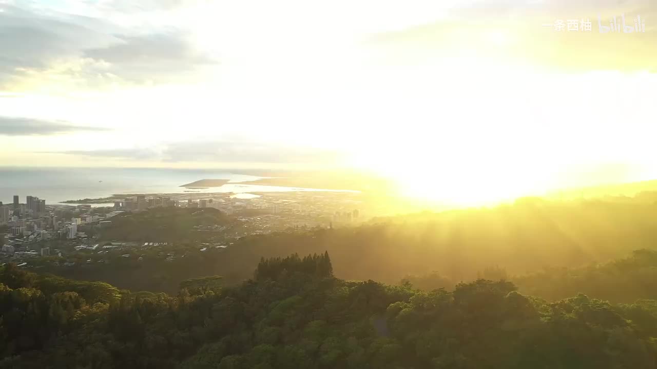 航拍逆光森林城市