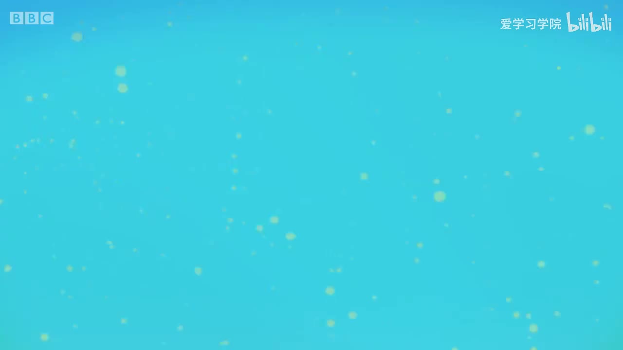 第2季AB.S02E24