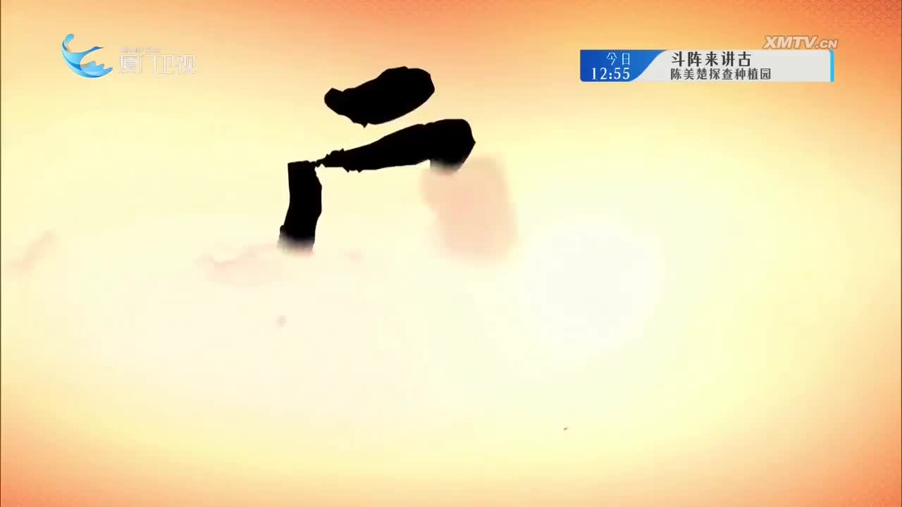 三招驸马（3） 斗阵来看戏 2025.09.08 - 厦门卫视