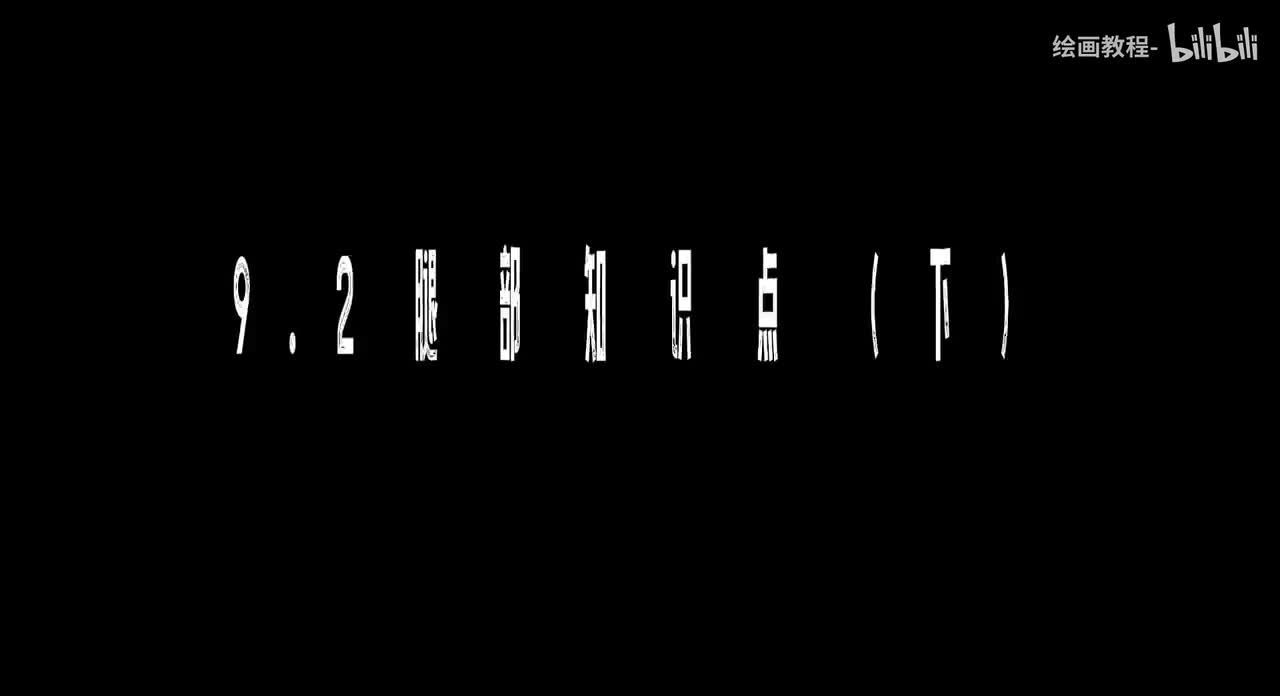 【人体篇】9.2腿部知识点（下）