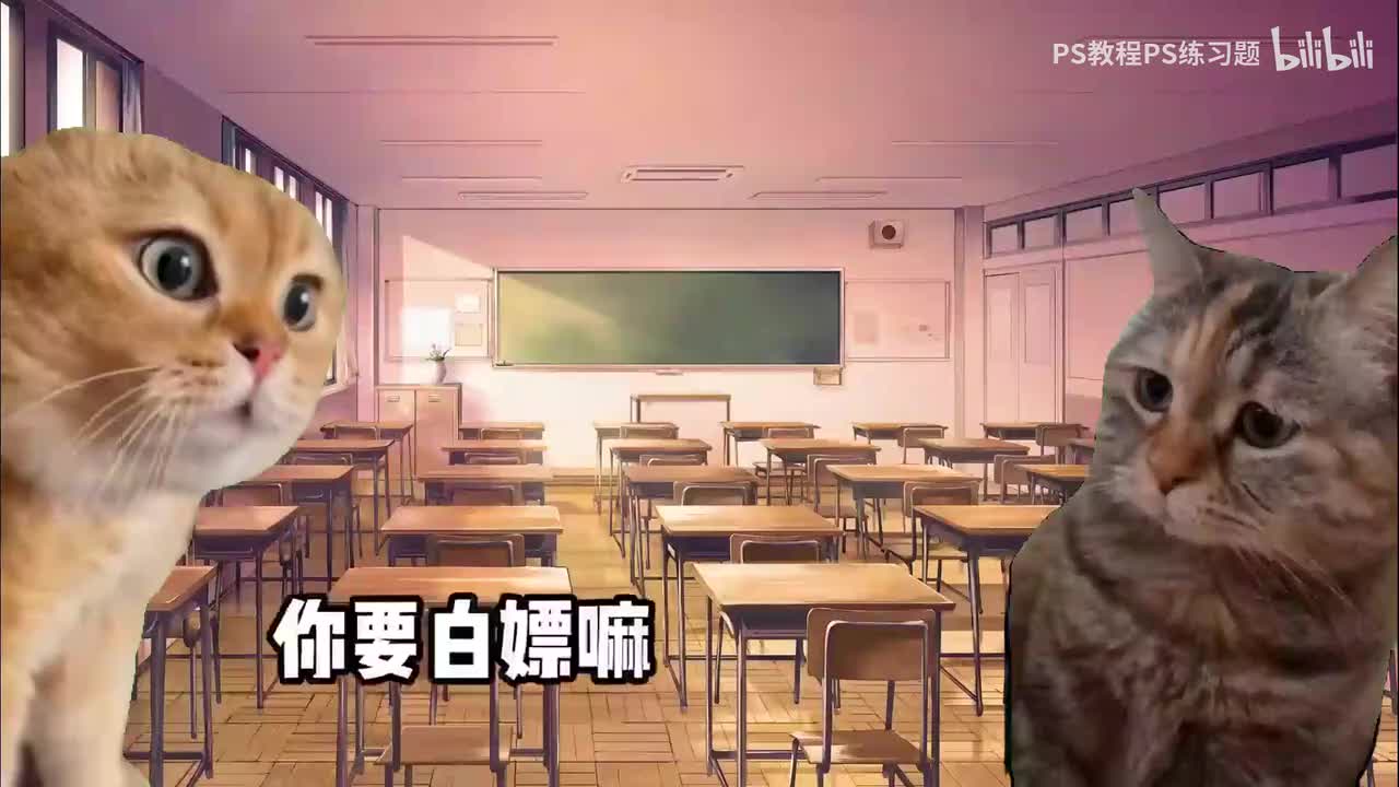 【PS教程】5.套索工具组和对象选择工具组