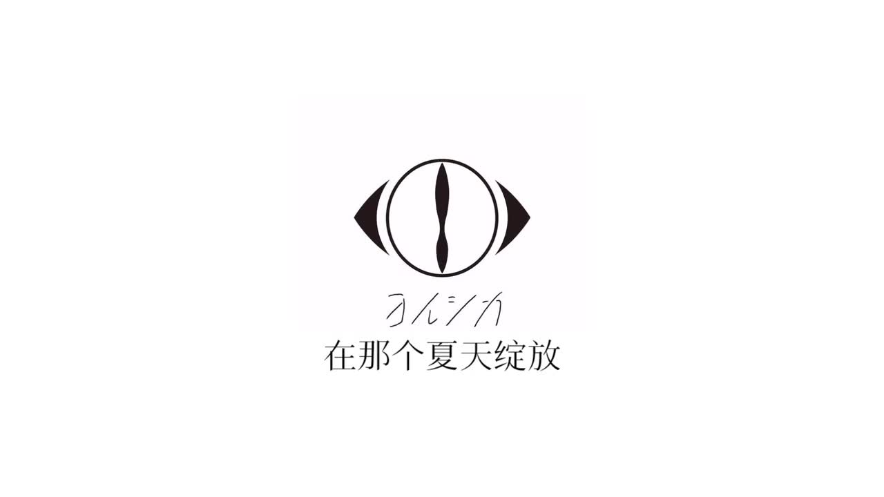在那个夏天绽放