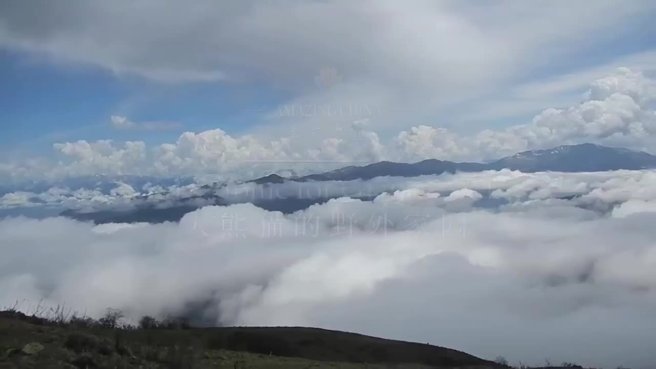 Amazing China 美丽中国 10.大熊猫的野外家园