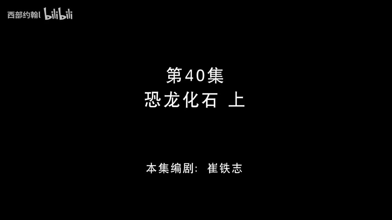 40.恐龙化石上