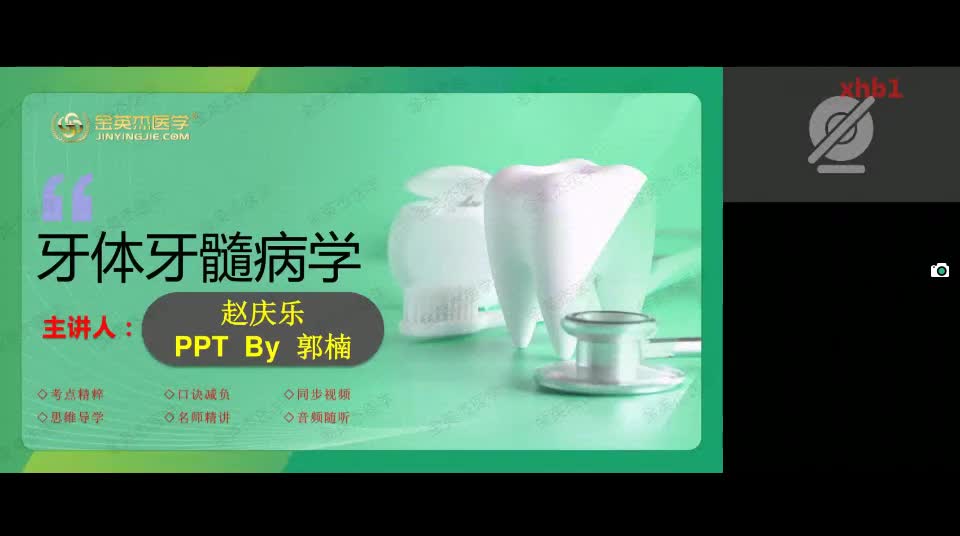 19.口内（七）牙体牙髓病学（3）