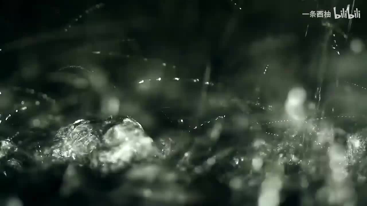 雨中氛围感 (74)