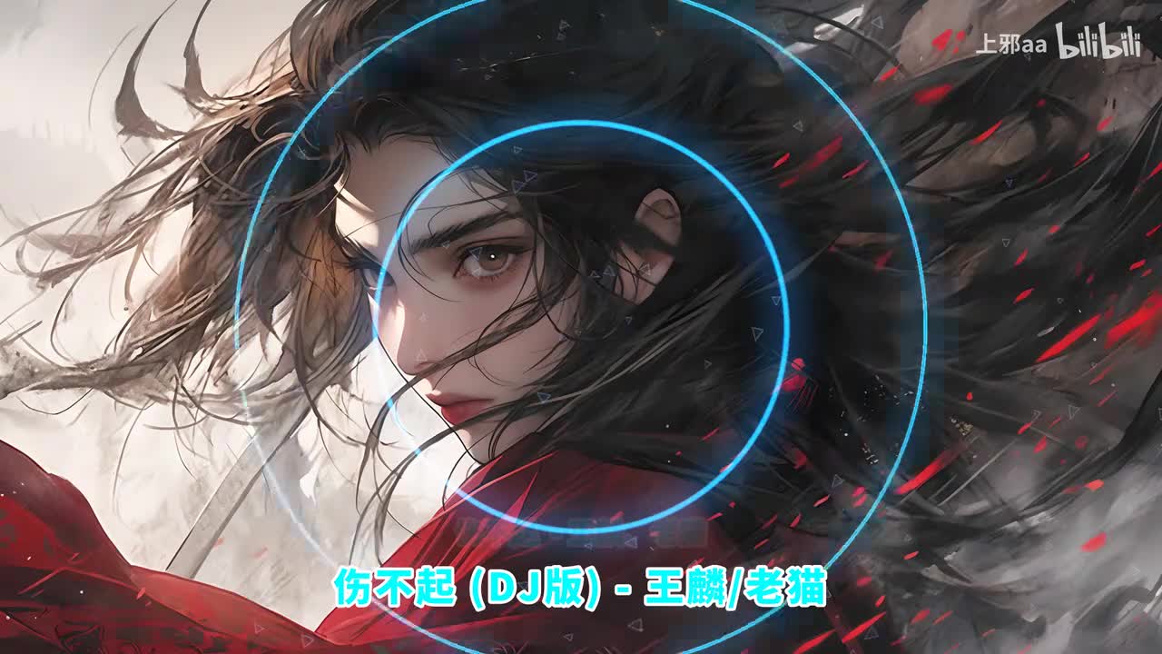 042. 伤不起 (DJ版) - 王麟、老猫