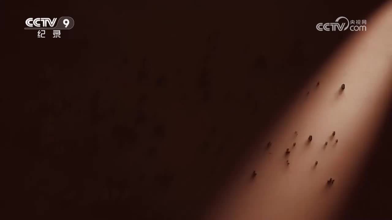 第2集 盟国尖兵