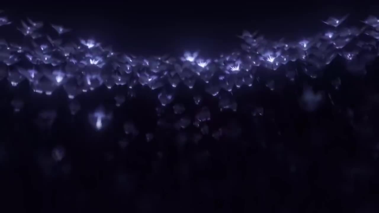 第二十五集 守岸人