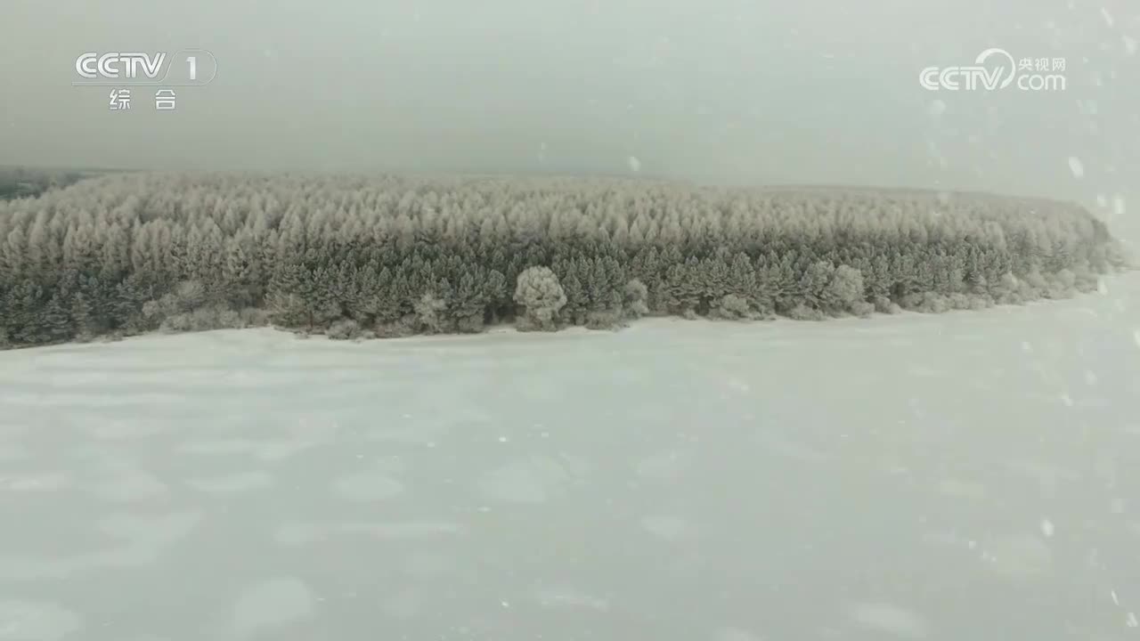 第4集 携手并肩