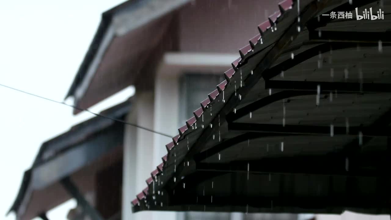 雨中氛围感 (87)